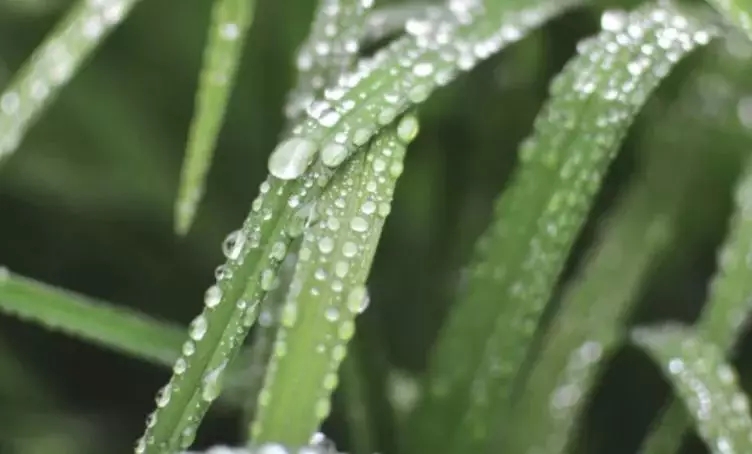 风雨无阻，印象装饰迎来了第77个印象爱心日！